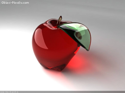 Курс по 3 D Studio Max