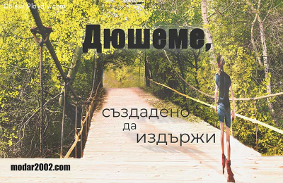Първокласен дървен материал - Дюшеме от Дървесина|Производит